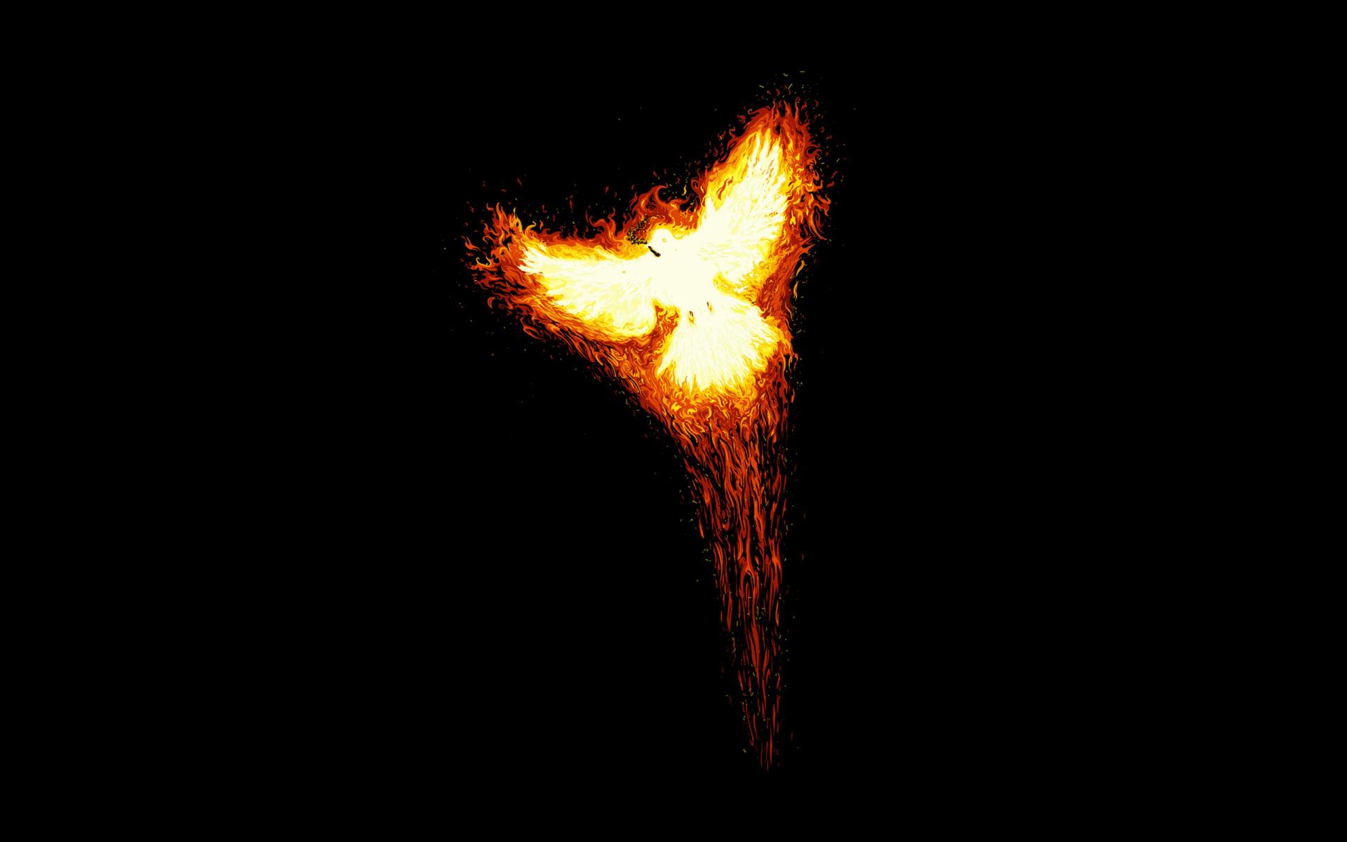 Phoenix os download for pc latest version